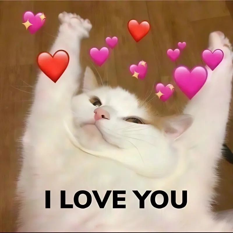 Meme yêu 1 người vô tâm thể hiện nỗi lòng của những người yêu đơn phương