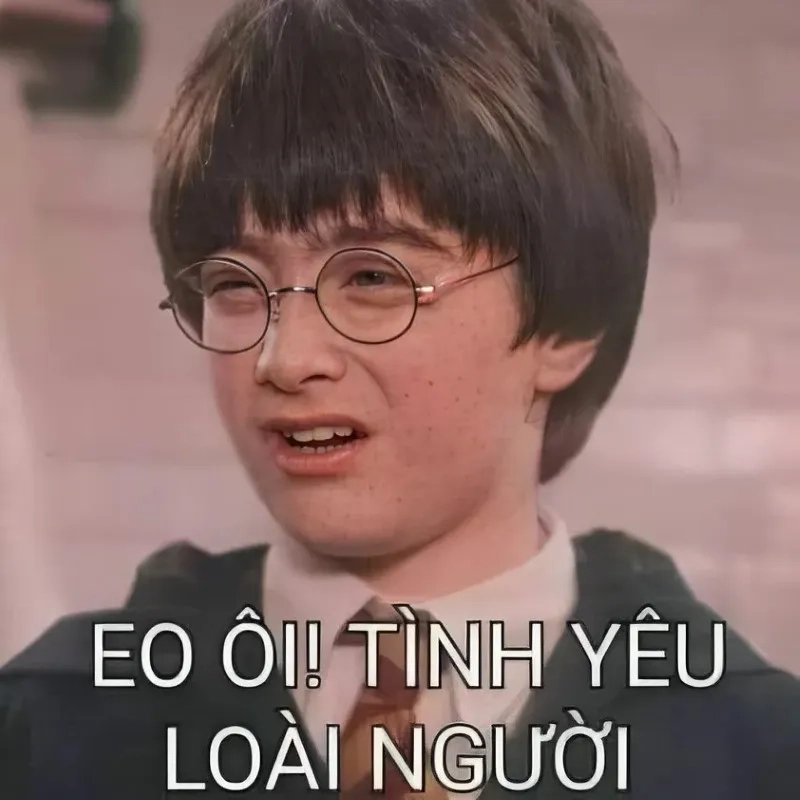 Meme mèo hun dễ thương khiến mọi người cảm thấy vui vẻ