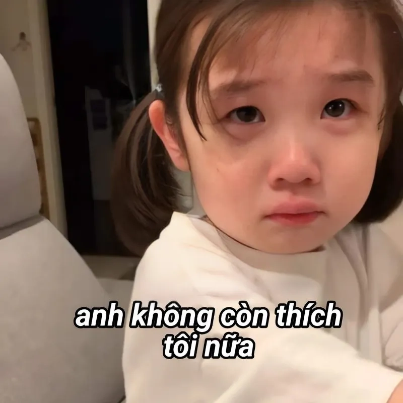 Meme mèo tặng hoa là cách tuyệt vời để thể hiện tình yêu