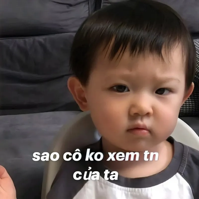 Mèo thả tim meme khiến trái tim bạn tan chảy với sự dễ thương