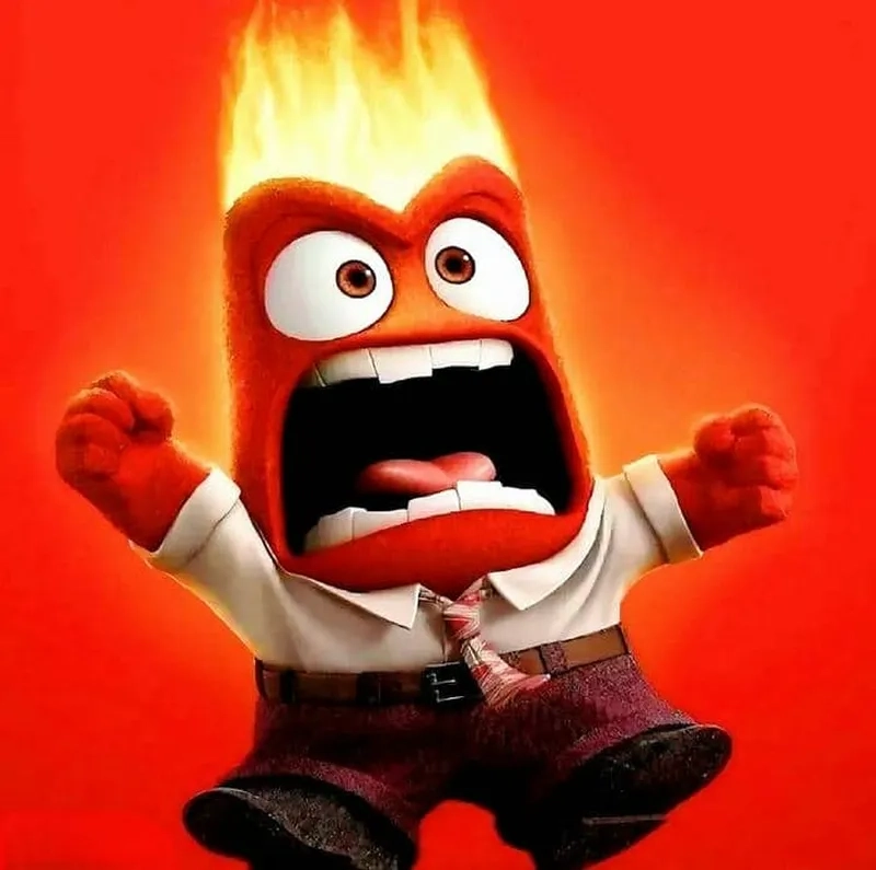 Meme gấu trúc tức giận khiến bạn không thể không yêu thích