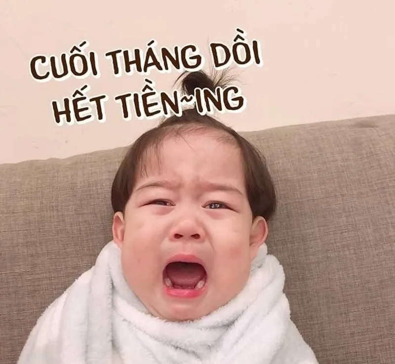 Mang tiền về cho mẹ meme khiến bạn không thể không cảm thấy thích thú