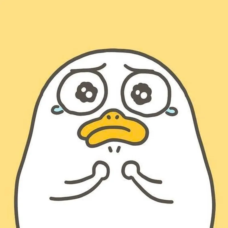 Vịt vàng meme là lựa chọn hoàn hảo cho những ai yêu thích động vật