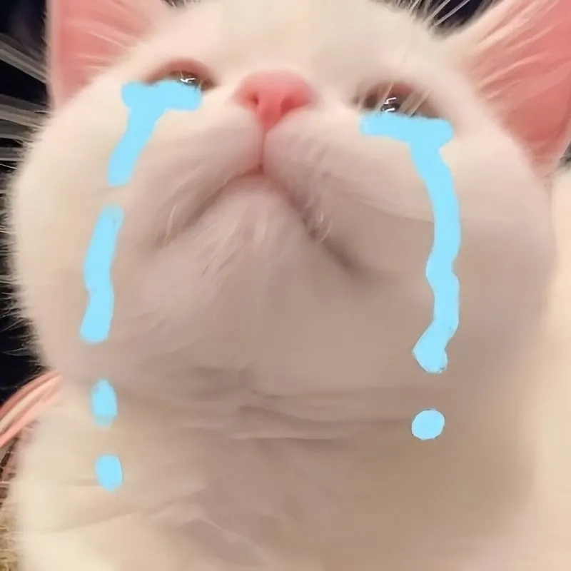 Xin lỗi mà meme hài hước khiến mọi người không thể giận lâu