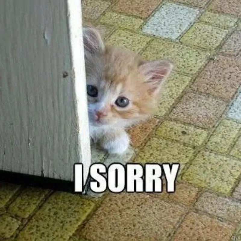 Tôi xin lỗi meme giúp bạn gửi lời xin lỗi một cách chân thành