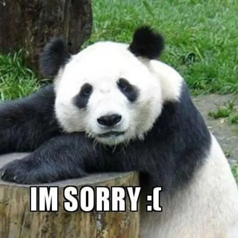 Meme em bé xin lỗi dễ thương khiến mọi người cảm thấy vui vẻ