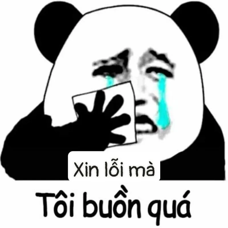 Meme tôi xin lỗi giúp bạn thể hiện sự chân thành và hối lỗi
