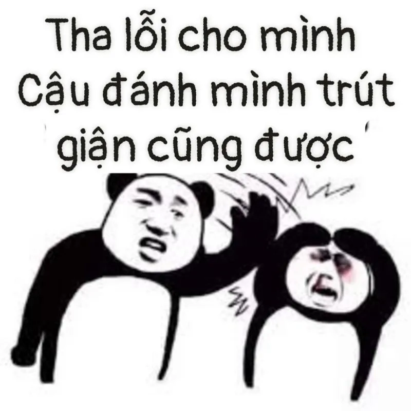 Meme xin lỗi em dễ thương giúp bạn làm dịu tình cảm giữa hai người