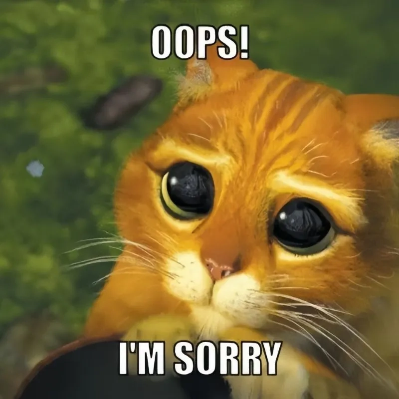 Meme mèo xin lỗi người yêu dễ thương khiến ai cũng phải cười