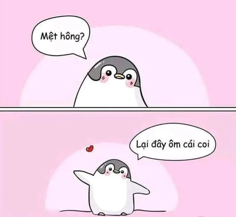 Con mèo ôm đầu meme khiến mọi người không thể nhịn cười