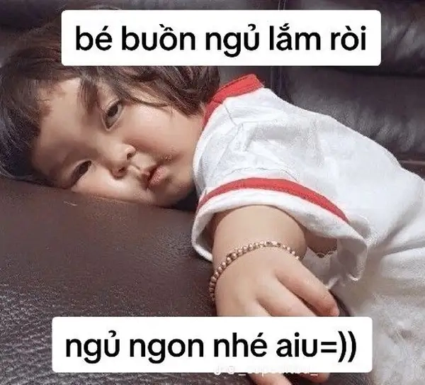 Chia sẻ ảnh ngủ meme để gửi lời chúc tốt đẹp