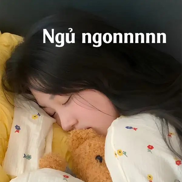 Meme đi ngủ sớm giúp bạn có giấc ngủ ngon hơn