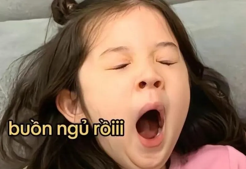 Chia sẻ ảnh đi ngủ meme để gửi lời chúc tốt đẹp