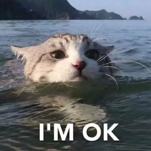 Okay face meme thể hiện sự hài hước trong những tình huống bất ngờ