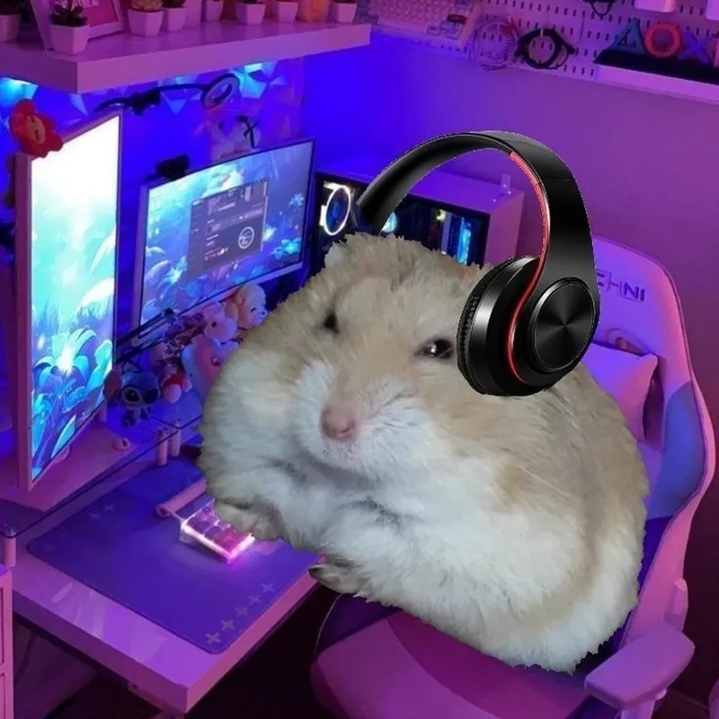 Sad hamster meme 1 hour khiến mọi người không thể nhịn cười