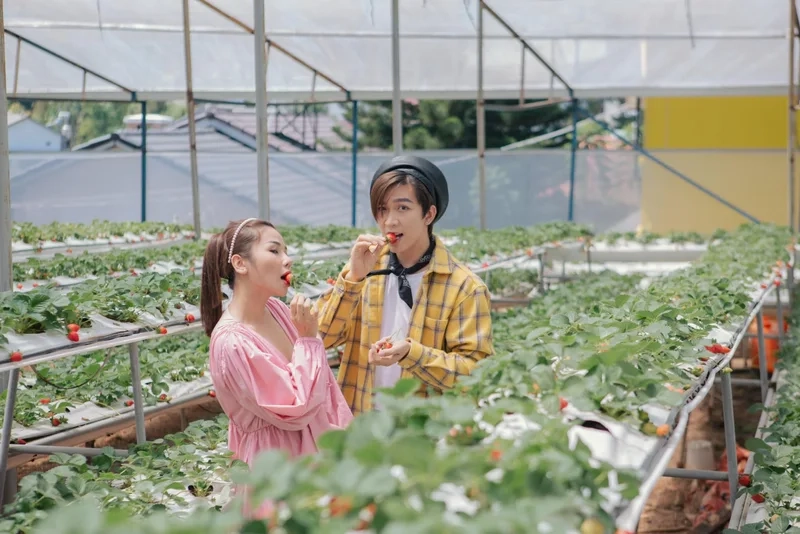 Kỳ vọng sai lầm tăng phúc chạm đến trái tim người nghe