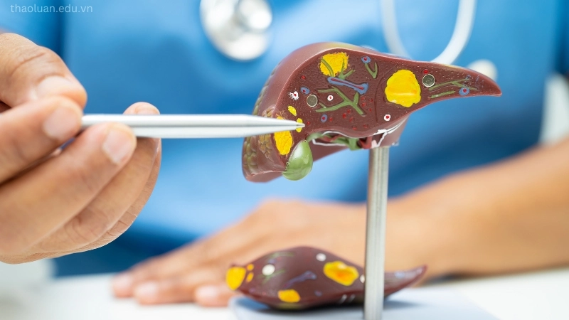 Ung thư gan là một trong những căn bệnh nguy hiểm với tỷ lệ tử vong cao