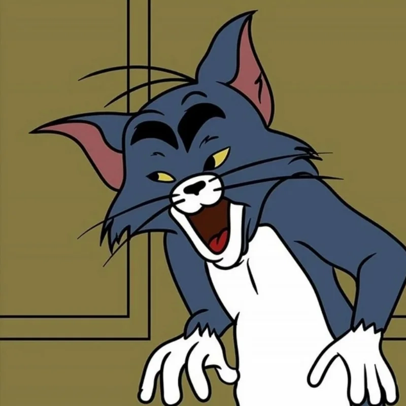 Những biểu cảm mèo tom meme không thể nhịn cười