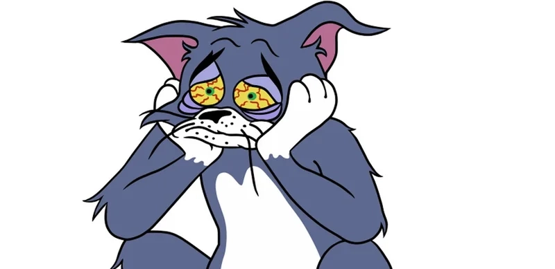 Những khoảnh khắc tom cat meme gây sốt