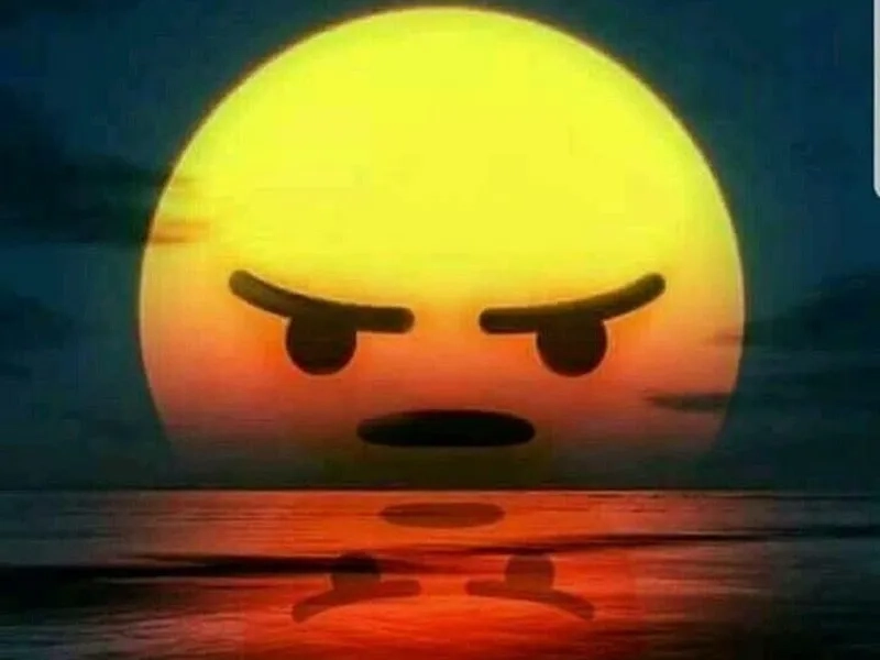 Meme tức giận mèo là hình ảnh quen thuộc trong thế giới meme