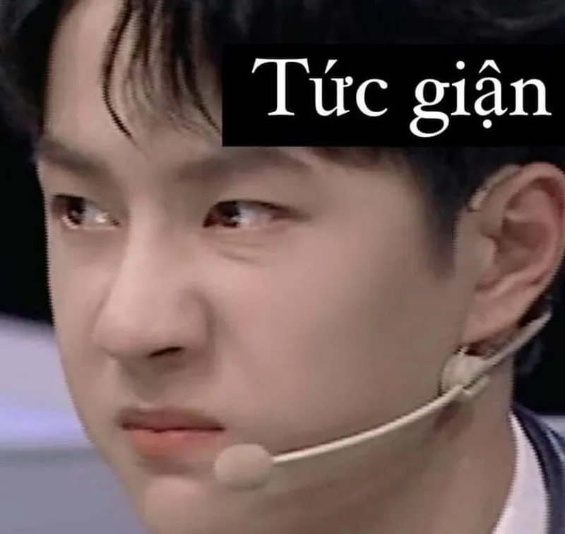 Meme con mèo tức giận khiến mọi người không thể nhịn cười