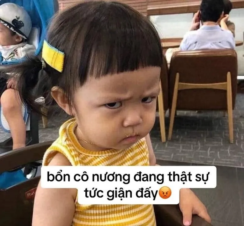 Ảnh meme giận mang lại tiếng cười cho những ai yêu thích hài hước