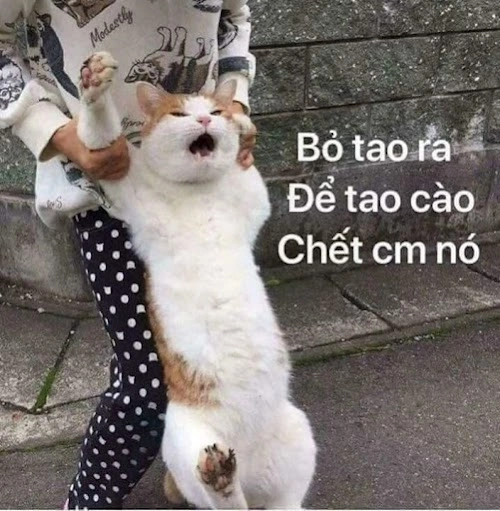 Sự tức giận của người lửa meme mang lại những khoảnh khắc hài hước