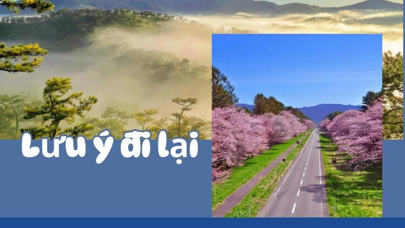 Lưu ý đi lại – thời tiết cho người lần đầu đến