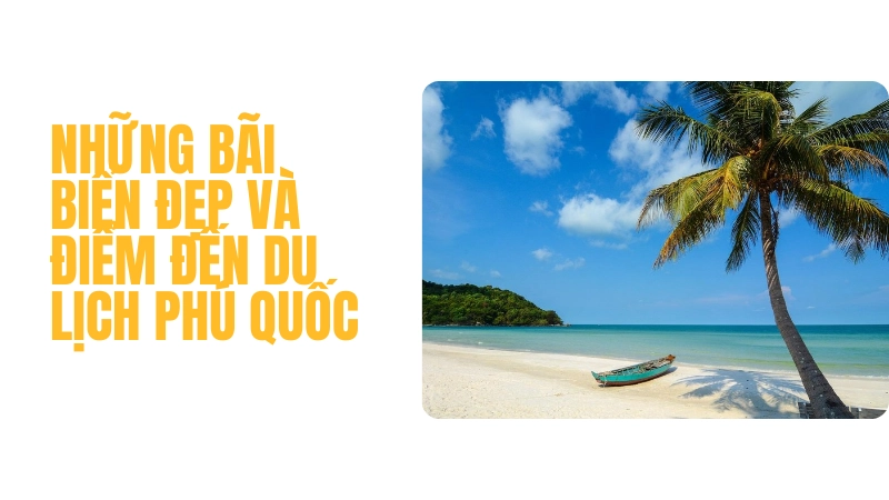 Vẻ đẹp hoang sơ của bãi sao trong chuyến du lịch phú quốc