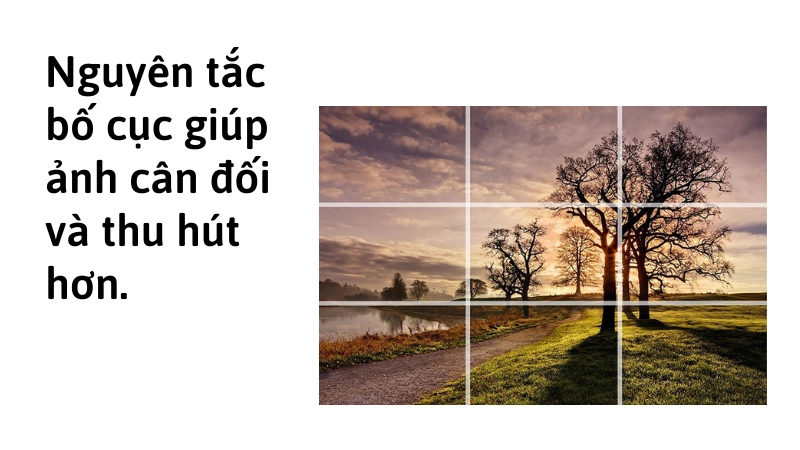 Nguyên tắc bố cục giúp bức ảnh đẹp hơn 