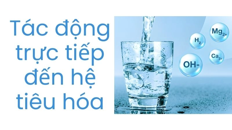 Tác động trực tiếp đến hệ tiêu hóa